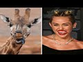 15 personaggi famosi che assomigliano ad animali