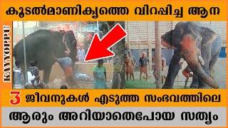 3 ജീവൻ എടുത്ത് കൂടൽമാണിക്യത്തെ വിറപ്പിച്ച ആന | eumeli thekkumthottam manikandan | Aanakkaryam