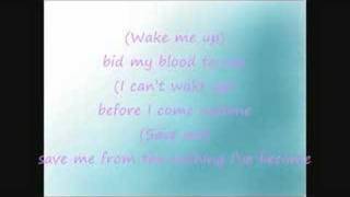 Evanescence Bring me to life(wake me up inside) with lyrics