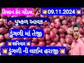 ગોંડલ ડુંગળી નો ભાવ | આજના ડુંગળી ના ભાવ | ડુંગળી ના ભાવ ગોંડલ | Gondal marketing yard 09/11/2024