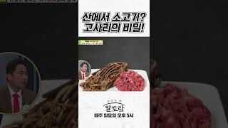 산에서 나는 소고기? 고사리의 놀라운 비밀! | 명절 음식 고사리나물 레시피