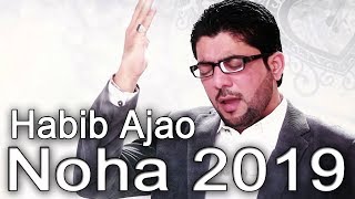 Habib ع Aa Jao | Mir Hasan Mir new noha 2018 |  Muharram  1440H nohay  |  Nohay 2018 | Nohay 2018 |