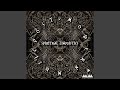 Cymatic Wave (Original Mix)
