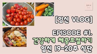 [임신Vlog] #1. 임산부 체중 조절, 건강하고 맛있는 식단 (임신19-20주)