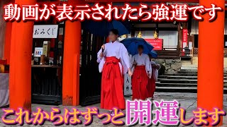 ⚠️開運必勝※動画を見終わった後からずっと開運※雷を分かつほどの強い大神様の御神徳｜京都・上賀茂神社遠隔参拝375