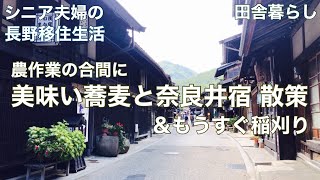 【わたし流田舎暮らしNo.29】長野移住/奈良井宿、散策/もうすぐ稲刈り