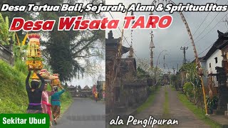 DESA TARO, desa tertua di Bali ! Desa wisata di Tegallalang  yang kaya sejarah, budaya \u0026 alam indah