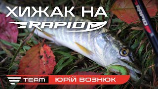 Осіння риболовля на хижака: лісова річка, малі глибини та великі улови!