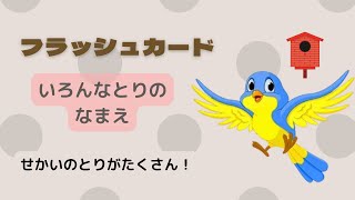 【フラッシュカード】とりの名前