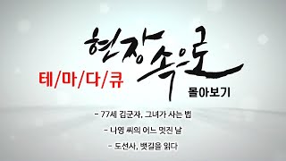 [현장속으로 몰아보기] 77세 갑군자, 그녀가 사는 법 / 나영 씨의 어느 멋진 날 / 도선사, 뱃길을 읽다/ KBS대전 방송