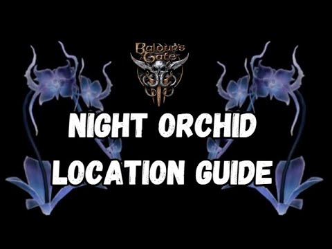 Where to find Night Orchids in Baldur's Gate 3