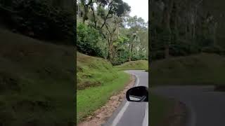 mudigere to chikmagluru #chikmagalur #may2022 #coffeeestate #nature #karnataka #incredibleindia