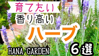 ガーデニング ハーブ｜育てやすいローズマリー・チェリーセージ・ワイルドストロベリー ・銀梅花と育てたいラベンダー