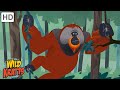 Primates | Orangutans, Monkeys, Tarsiers + more! [Full Episodes] Wild Kratts