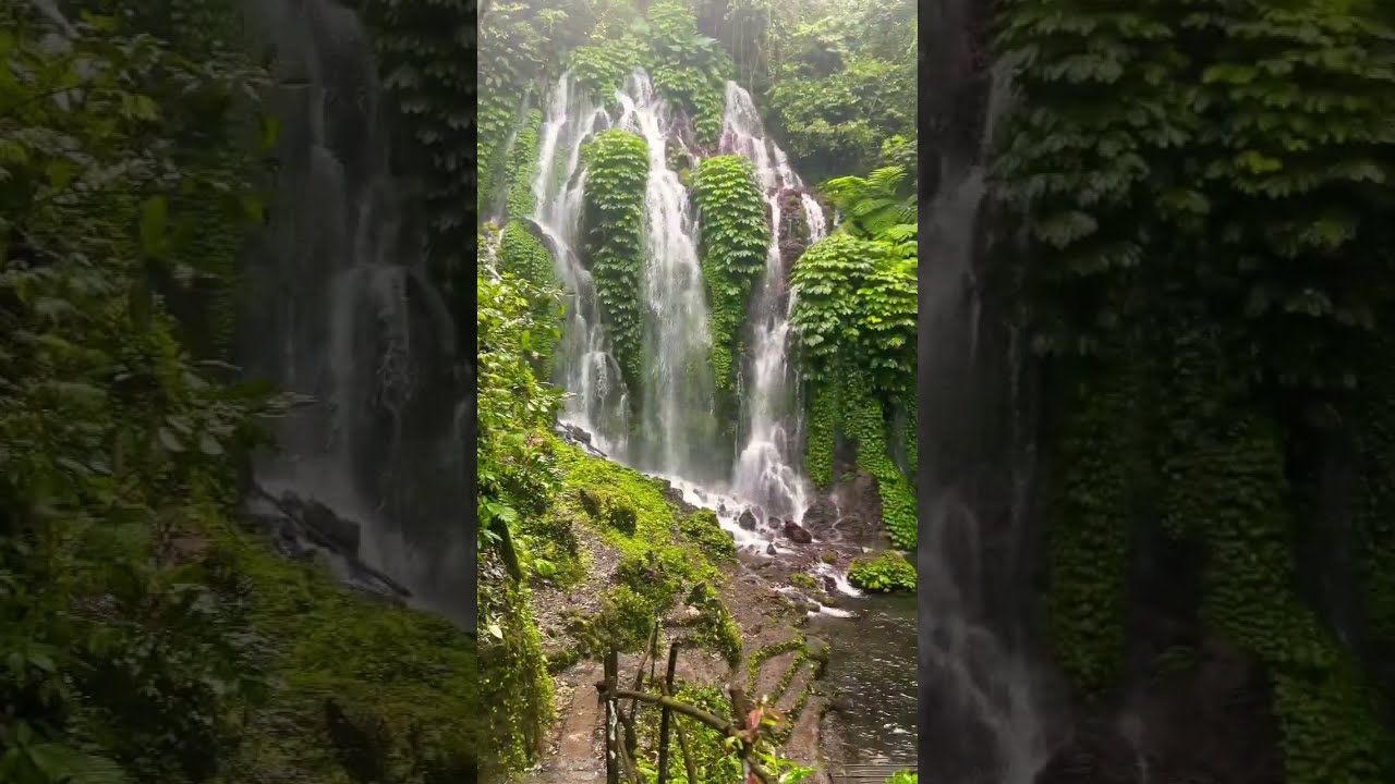 One of the best Waterfalls in Bali at Bunyuwana waterfalls #shorts #nature