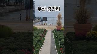 Busan Gwangalli Beach #부산 #광안리 #koreatravel