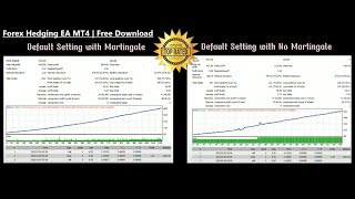 Hedging EA Free Download | Amazing Result