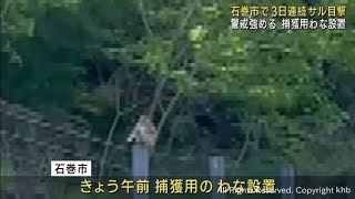 宮城・石巻市の中心部で３日連続でサルの目撃情報　捕獲のためにわなを設置