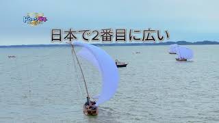 霞ヶ浦観光帆引き船の合同操業がワンピース並み！