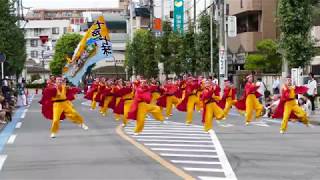 七色七味⑵ 2018 8 19 坂戸夏よさこい　南口会場