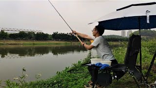 夏天太闷热导致鱼口难开，一旦遇到这种天气就别错过，会狂口能连竿