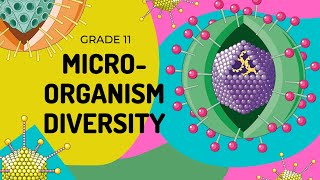 Mico-organism diversity | How to identify them