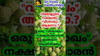 Vishakham ~ Men || ഒരു വിശാഖം നക്ഷത്രക്കാരൻ ഇങ്ങനെ ആയിരിക്കും || Sri Viswa Vasthu Vidya #astrology