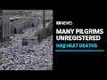 Egypt cracks down on dodgy operators after hundreds of hajj pilgrimage deaths | ABC News