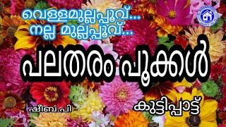 പലതരം പൂക്കൾ#പാട്ടിലൂടെ പഠിക്കാം# അനിമേഷൻ വീഡിയോ#ഷീബ.പി