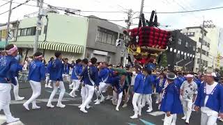 令和４年 貝塚宮太鼓台祭り試験担ぎ_04