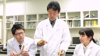 日本大学生物資源科学部　教員紹介（国際地域開発学科）