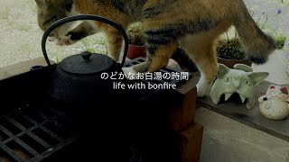 のどかなお白湯の時間【ミニかまどでソロキャンプ】｜ナチュラルライフ｜環境音｜ASMR