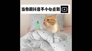 猫猫不小心点到+#有趣号 #故事 #貓 #猫meme #内容过于真实 #猫meme小剧场 #猫meme剧场 #猫迷因#tiktok #喵不可言 #shorts