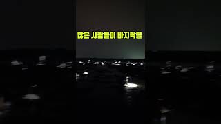 아무나 통제없이 편하게 바지락 잡는곳 #해루질 #바지락 #석문방조제