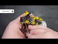 speed painting 40k orks like a pro