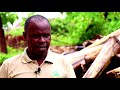 Ugandan startup produces items from banana waste