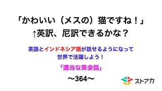 適当な英会話〜364〜「かわいい（メスの）猫ですね！」←英訳、尼訳できますか？