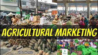 Agricultural Marketing in India: Issues, Reforms \u0026 Government Initiatives | UPSC GS3 Explained