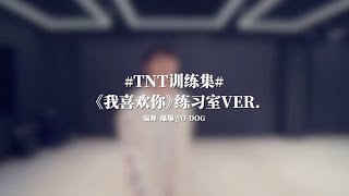 【TNT时代少年团】《我喜欢你》练习室