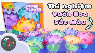 Thí Nghiệm lai tạo hoa giấy sắc màu với Crayola Paper Flower Science Kit ToyStation 548