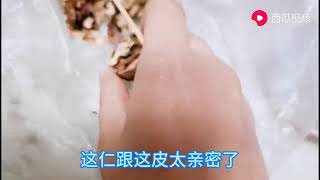 老娘送来的核桃，皮硬如石头，女儿拿啥“神器”挑核桃仁？