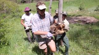 Illegal trail destroyed