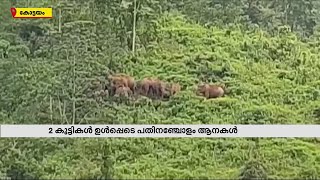 മുണ്ടക്കയത്ത് കാടിറങ്ങി പതിനഞ്ചോളം ആനകൾ - ഭീതിയൊഴിയാതെ പ്രദേശവാസികൾ