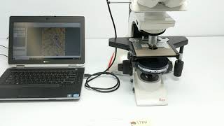 Leica DM2500 LED Phase Contrast Microscope [BOSTONIND] - 17641