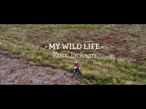 How did Kurt Jackson become an artist?