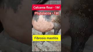 Fibrosis mastitis l Dr Umar Khan