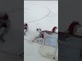 Carey Price Saves