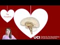 The Amygdala & Emotion with Sarah Kark, Ph.D. | Valentine's Day Edition