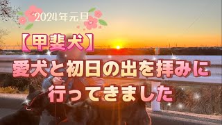 【甲斐犬】　2024年元旦　愛犬と初日の出を拝みに…