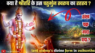 क्या है भगवान #विष्णु के स्वरूप का रहस्य ? how #lordvishnu looks in #vaikuntha ? #theinfoocean